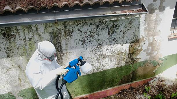 Trusted Commercial Mold Remediation service in Sharon, MA - Cheap Mold Removal